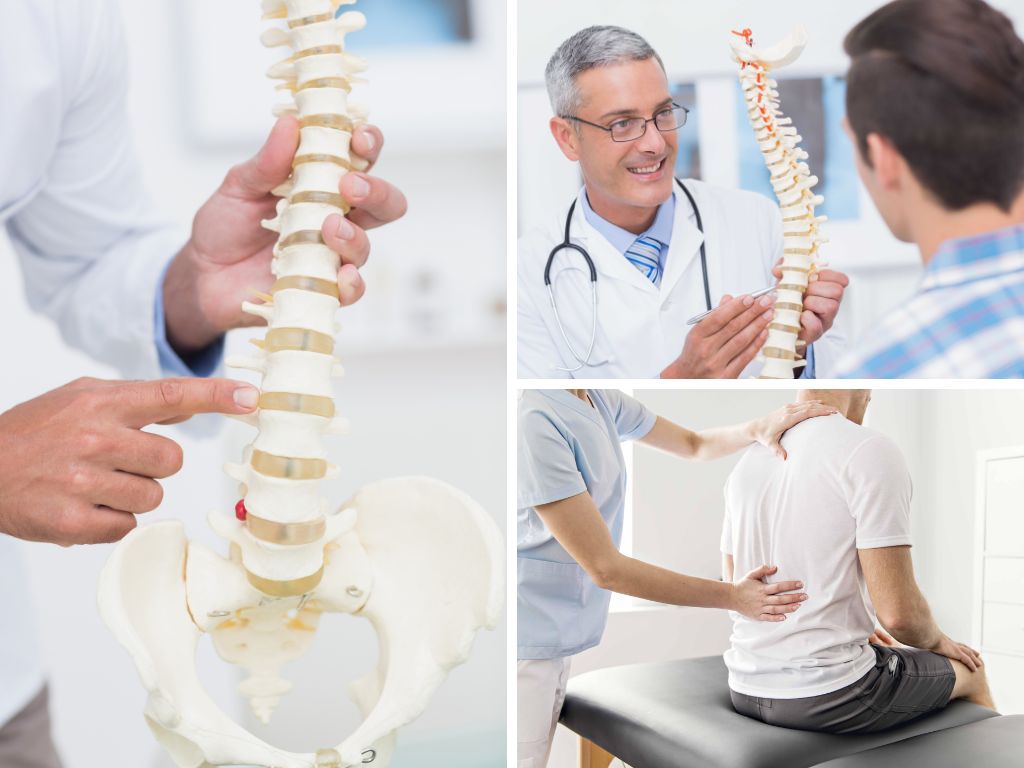 surrey chiropractor